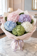 Five color hydrangea only hand tied bouquet